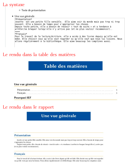 Pour le rendu dans le rapport